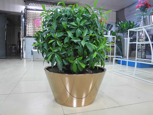 廣東汕頭不銹鋼花盆哪家做的好？